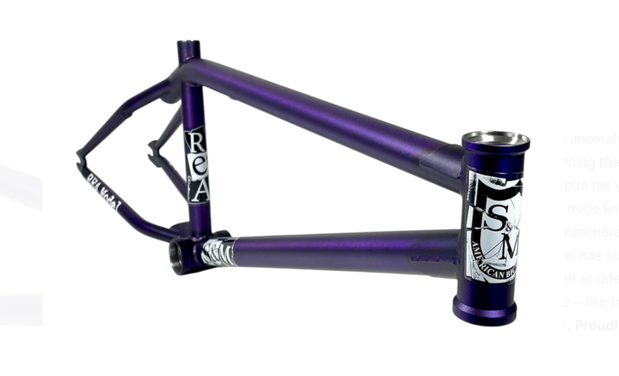 S&M REA Frame Aryei Levenson