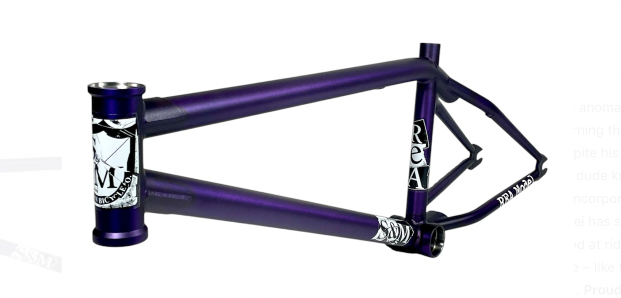 S&M REA Frame Aryei Levenson