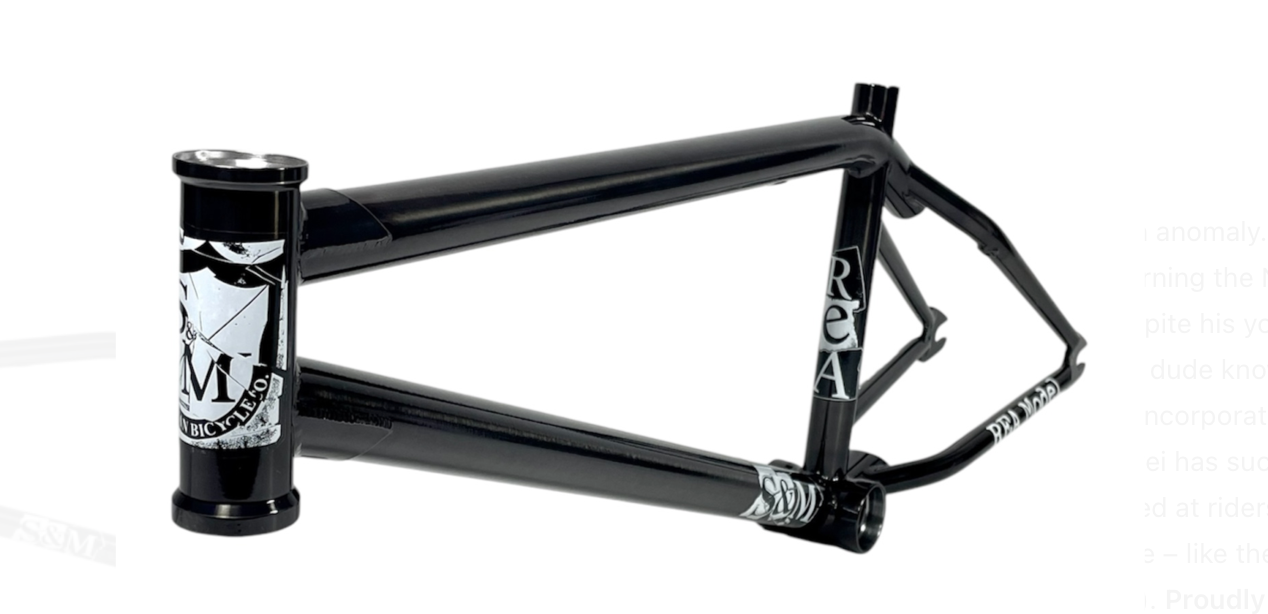 S&M REA Frame Aryei Levenson